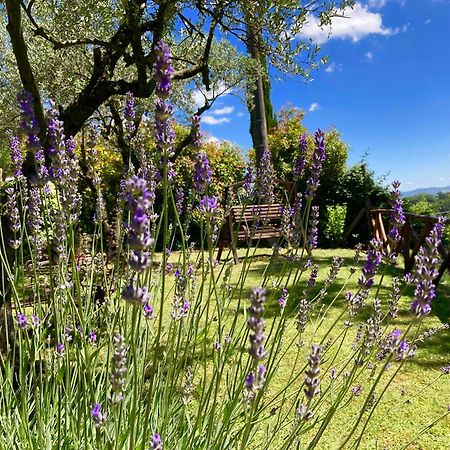 Grove Cottage: Immersed In Nature & Close To Town Città della Pieve Eksteriør billede