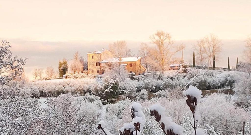 Grove Cottage: Immersed In Nature & Close To Town Città della Pieve Eksteriør billede