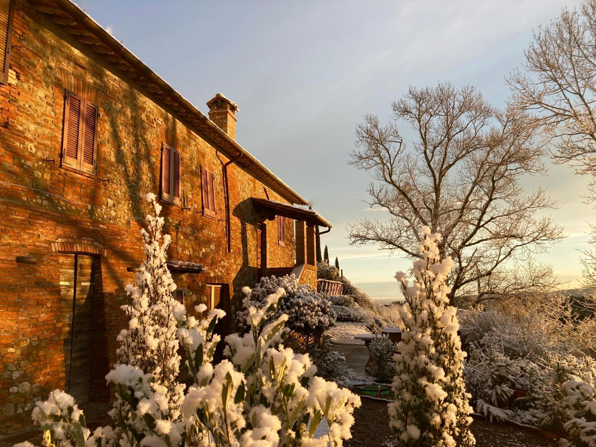 Grove Cottage: Immersed In Nature & Close To Town Città della Pieve Eksteriør billede