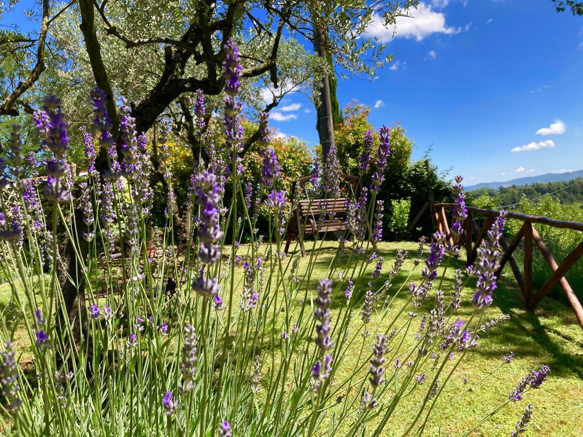 Grove Cottage: Immersed In Nature & Close To Town Città della Pieve Eksteriør billede